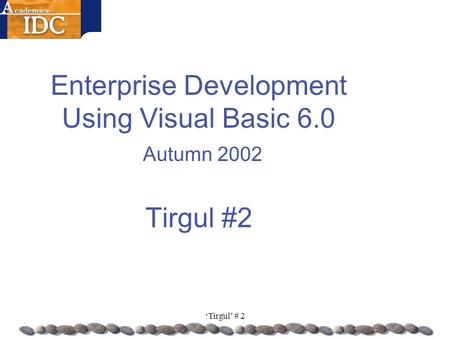 ‘Tirgul’ # 2 Enterprise Development Using Visual Basic 6.0 Autumn 2002 Tirgul #2.
