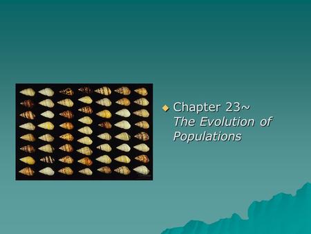 Chapter 23~ The Evolution of Populations. Population genetics provides foundation for studying evolution  Microevolution –Evolutionary change on the.