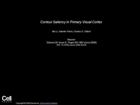 Contour Saliency in Primary Visual Cortex Wu Li, Valentin Piëch, Charles D. Gilbert Neuron Volume 50, Issue 6, Pages 951-962 (June 2006) DOI: 10.1016/j.neuron.2006.04.035.