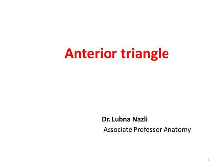 Anterior triangle Dr. Lubna Nazli Associate Professor Anatomy