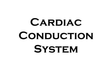 Cardiac Conduction System. (1) Conduction System of Heart Conduction System = Heart Beat & Pumping Cardiac Contractions = Unconscious –Autonomic Nervous.