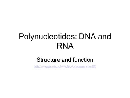 Polynucleotides: DNA and RNA