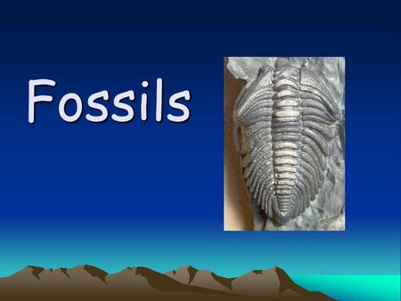 Fossils. What is a fossil? A fossil is an impression, cast, original material or track of any animal or plant that is preserved in rock by natural processes.