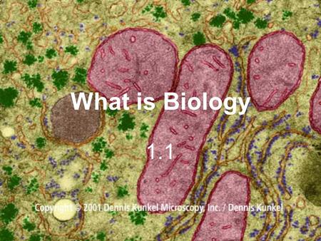 What is Biology 1.1. I. What is Biology??? A. Biology- The study of living things.