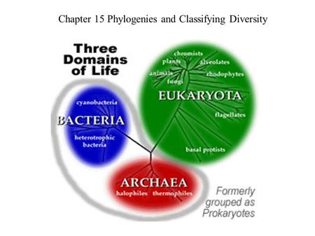 Chapter 15 Phylogenies and Classifying Diversity.