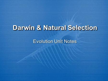 Darwin & Natural Selection Evolution Unit Notes. Learning Goals  1. Define Evolution & Natural Selection.  2. Describe the 4 steps of Natural Selection,