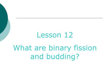 What are binary fission and budding?