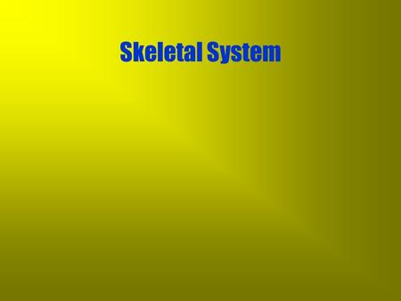Skeletal System The Basics Skeletal System The Basics –provides support and shape to the body.