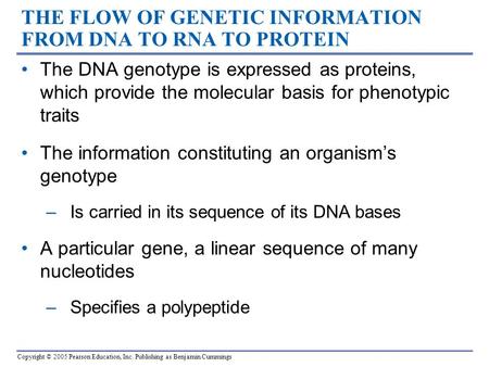Copyright © 2005 Pearson Education, Inc. Publishing as Benjamin Cummings THE FLOW OF GENETIC INFORMATION FROM DNA TO RNA TO PROTEIN The DNA genotype is.