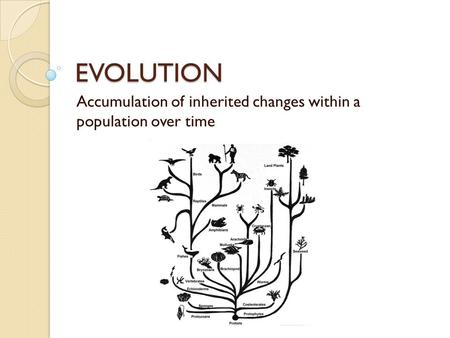 EVOLUTION Accumulation of inherited changes within a population over time.