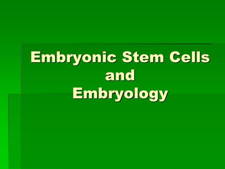 Embryonic Stem Cells and Embryology. What are embryonic stem cells?  derived from embryos that develop from eggs that have been fertilized in vitro 