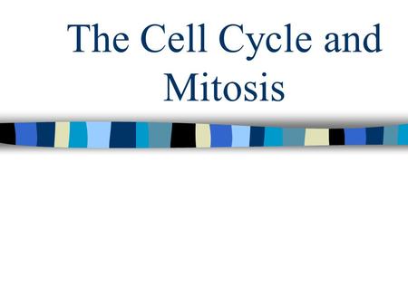 The Cell Cycle and Mitosis. Today’s Objectives The student will be able to identify the phases of the cell cycle and mitotic stages by description and.