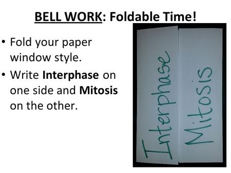 BELL WORK: Foldable Time! Fold your paper window style. Write Interphase on one side and Mitosis on the other.