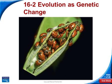 End Show Slide 1 of 40 Copyright Pearson Prentice Hall 16-2 Evolution as Genetic Change.