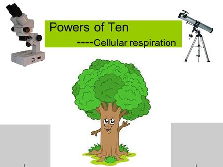 Powers of Ten ---- Cellular respiration. MSP Carbon Teaching Experiment.