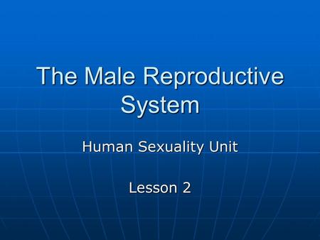 The Male Reproductive System Human Sexuality Unit Lesson 2.