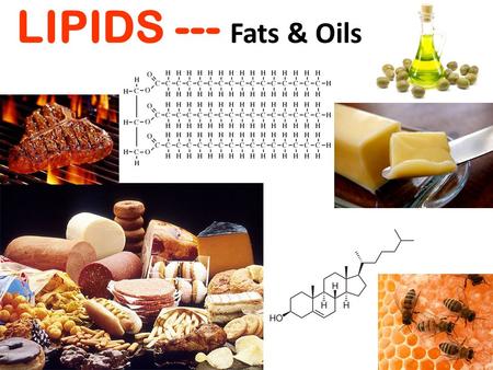 LIPIDS --- Fats & Oils. LIPIDS include: fats oils cholesterol phospholipids.