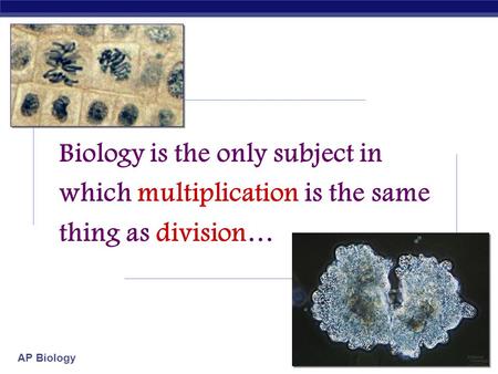 AP Biology 2007-2008 Biology is the only subject in which multiplication is the same thing as division…