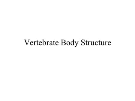 Vertebrate Body Structure