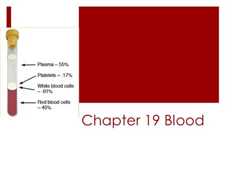Chapter 19 Blood.