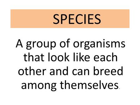 SPECIES A group of organisms that look like each other and can breed among themselves.