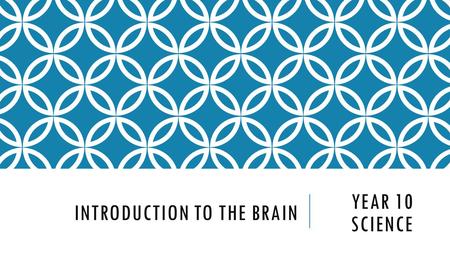Introduction to the brain