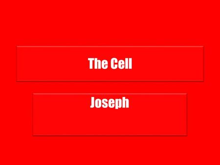 The Cell Joseph. Plant Cells Plant cells are cells that are in plants. Plant cells are like animal cells, but they have a cell wall and chloroplasts.