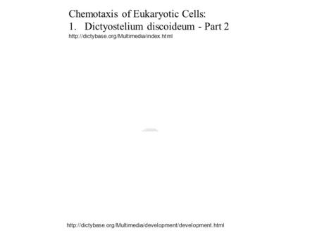 Chemotaxis of Eukaryotic Cells: 1.Dictyostelium discoideum - Part 2