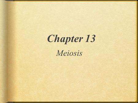 Chapter 13 Meiosis.