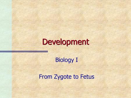 Development Biology I From Zygote to Fetus Development n. n Development is a continual process, from conception to death.