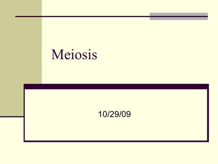 Meiosis 10/29/09. What can you tell me about Mitosis?