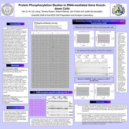 1. FXM phospho-specific antibody mix 1 Introduction Summary Gene perturbation by RNAi: See posters from the Molecular Biology lab and the Macrophage Biology.