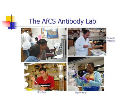 The AfCS Antibody Lab Rod Ceja Blythe King Eduardo Arteaga.