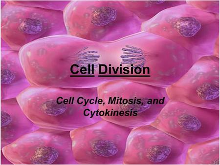 Cell Division Cell Cycle, Mitosis, and Cytokinesis.