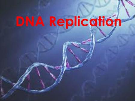DNA Replication. When and why must the DNA molecule be copied? Before cell division the DNA must be copied so that any new cells will have an identical.