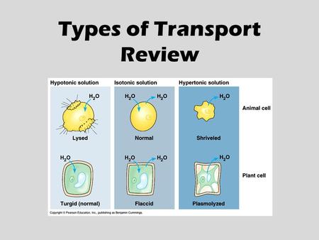 Types of Transport Review. The movement of particles against the direction of diffusion requiring cell energy. ACTIVE TRANSPORT.