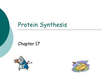 Protein Synthesis Chapter 17. Protein synthesis  DNA  Responsible for hereditary information  DNA divided into genes  Gene:  Sequence of nucleotides.