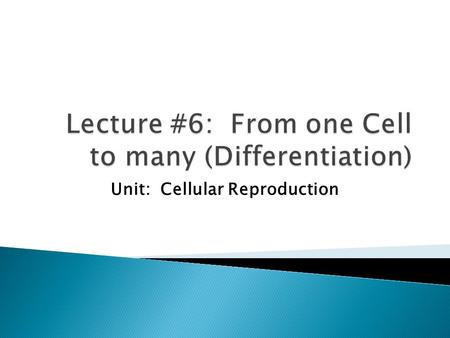 Lecture #6: From one Cell to many (Differentiation)