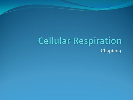 Chapter 9. Chemical Energy and Food Living things get the energy they need from food. The process of releasing the energy stored in food is cellular respiration.