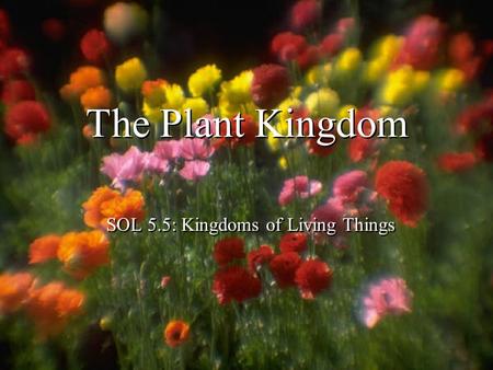 The Plant Kingdom SOL 5.5: Kingdoms of Living Things.