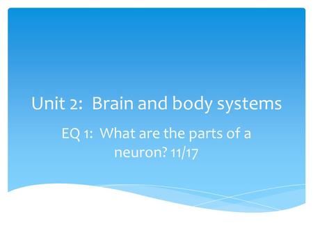 Unit 2: Brain and body systems EQ 1: What are the parts of a neuron? 11/17.