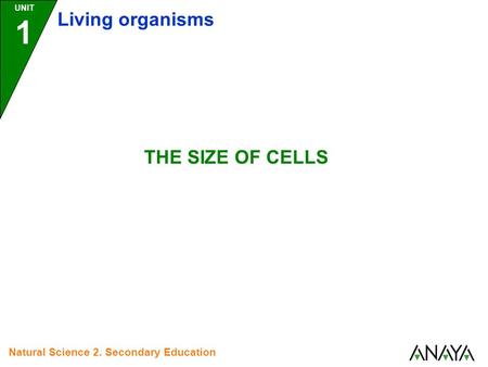 Living organisms THE SIZE OF CELLS