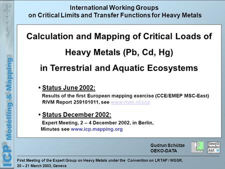 First Meeting of the Expert Group on Heavy Metals under the Convention on LRTAP / WGSR, 20 – 21 March 2003, Geneva International Working Groups on Critical.