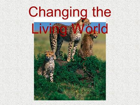 Changing the Living World. I Selective Breeding –What is the purpose of selective breeding?