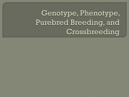  Define genotype and phenotype and know the differences with 100% accuracy.  Define purebred breeding and crossbreeding and know the differences with.