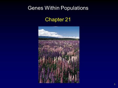 1 Genes Within Populations Chapter 21. 2 Outline Gene Variation Hardy Weinberg Principle Agents of Evolutionary Change Measuring Fitness Interactions.