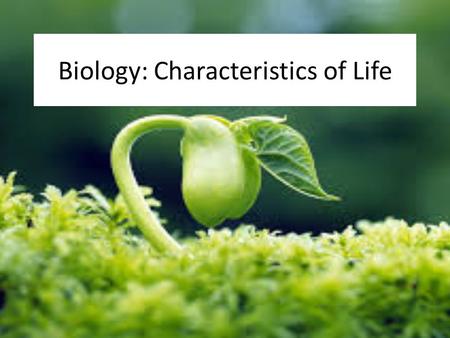Biology: Characteristics of Life. Bellwork What does “biology” mean?
