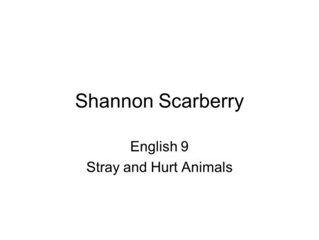 Shannon Scarberry English 9 Stray and Hurt Animals.