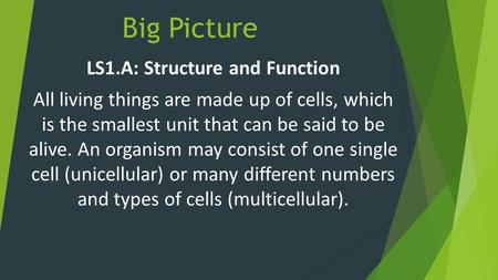 Big Picture LS1.A: Structure and Function All living things are made up of cells, which is the smallest unit that can be said to be alive. An organism.