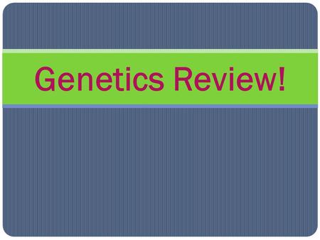 Genetics Review!. What is the genetic material of all organisms made up of 2 twisted strands of sugar- phosphate and nitrogen bases? Question 1.